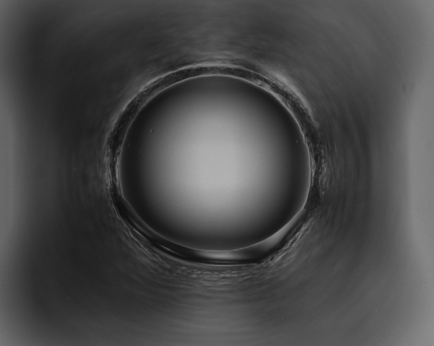 X0000095941360200801111321