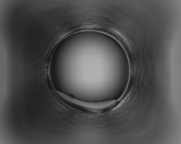 X0000095941361200801111321
