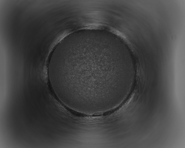 X0000095941362200801111321