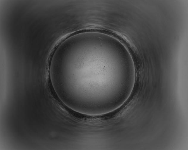 X0000095941363200801111321