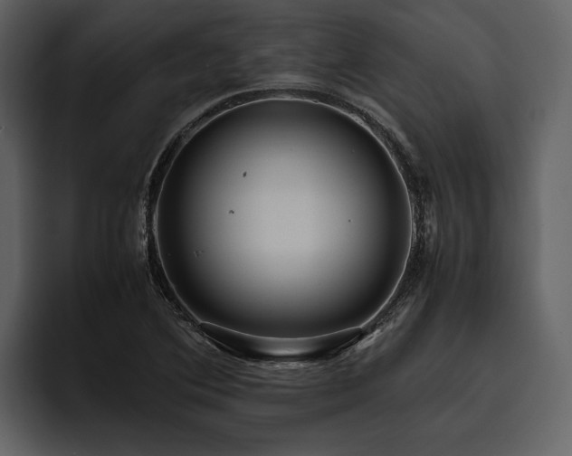 X0000095941364200801111321