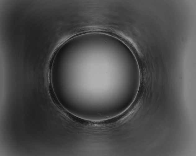 X0000095941365200801111321