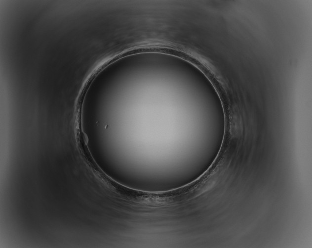 X0000095941366200801111321