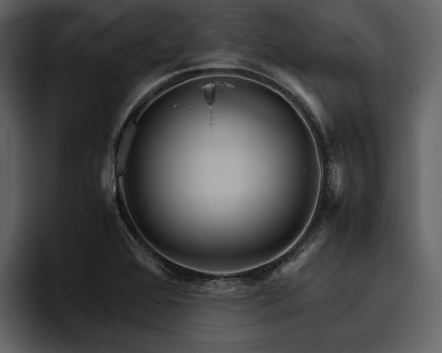 X0000095941368200801111321