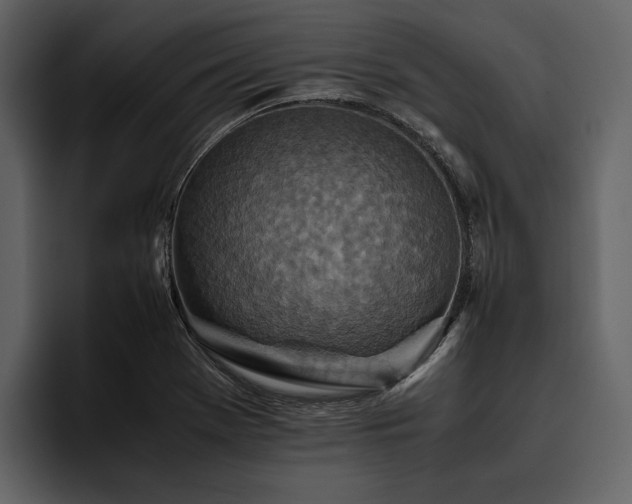 X0000095941369200801111321