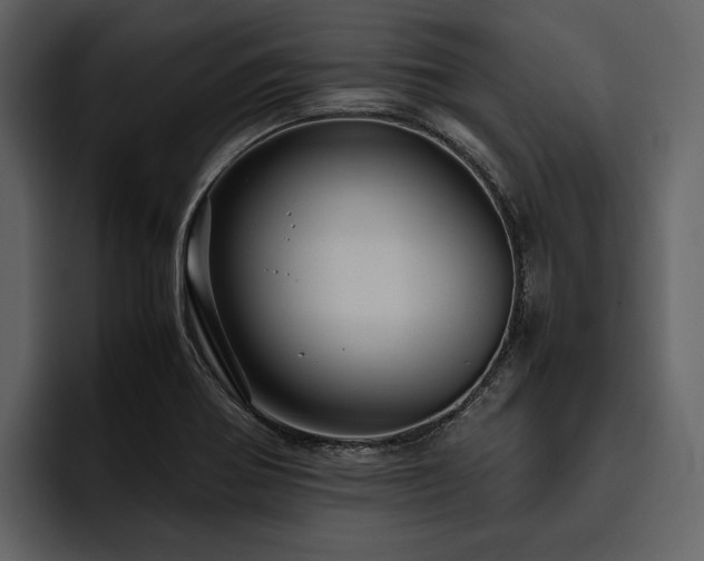 X0000095941370200801111321