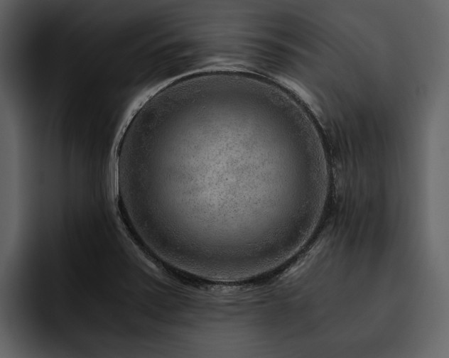 X0000095941371200801111321