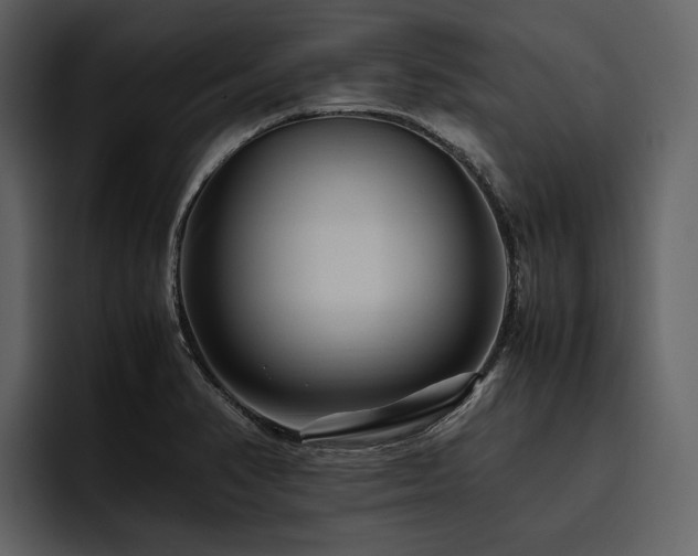 X0000095941374200801111321