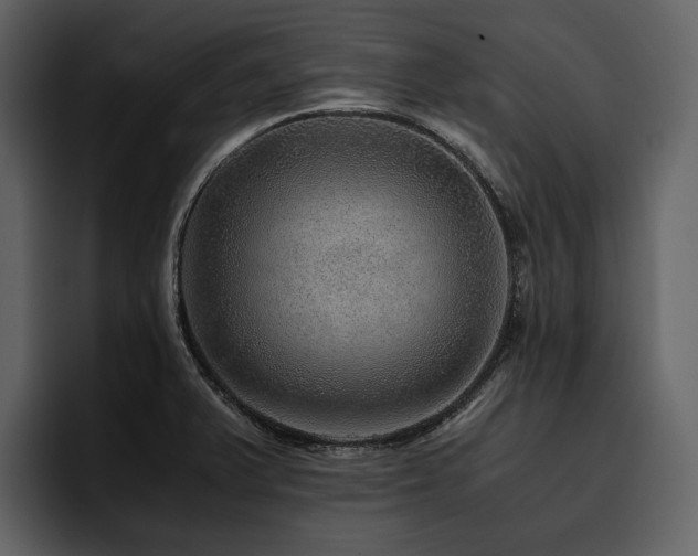 X0000095941375200801111321