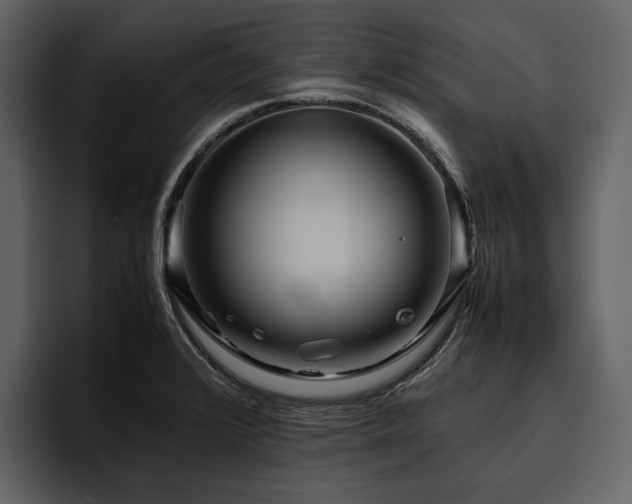 X0000095941376200801111321