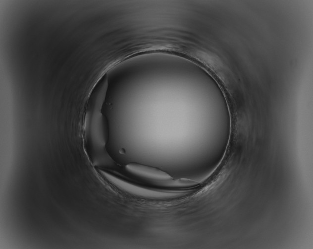 X0000095941377200801111321