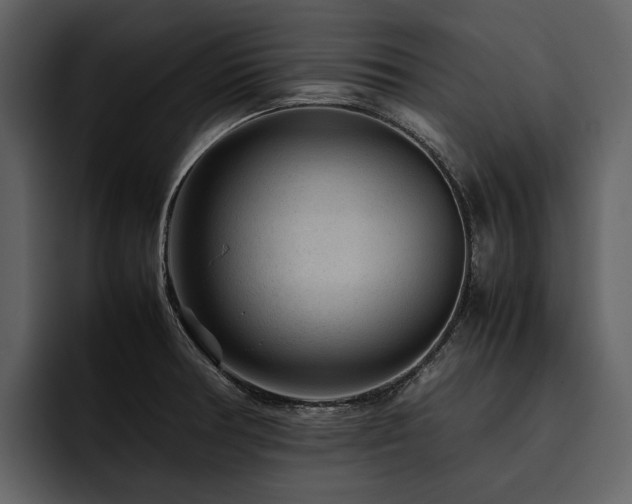 X0000095941378200801111321