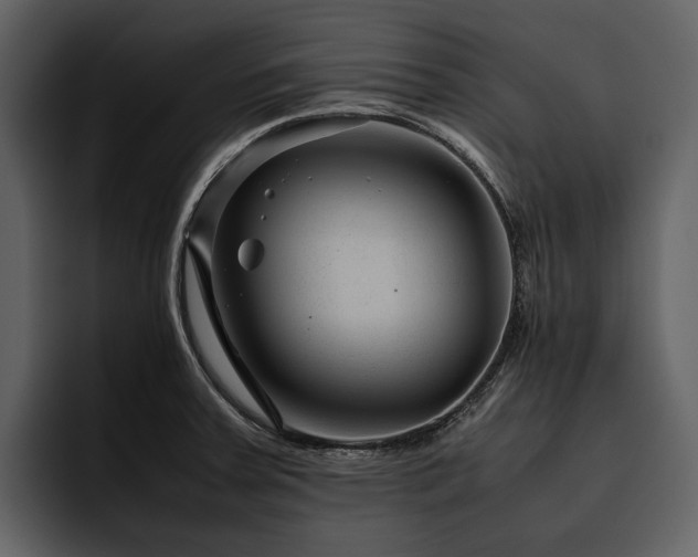 X0000095941379200801111321
