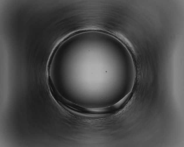 X0000095941380200801111321