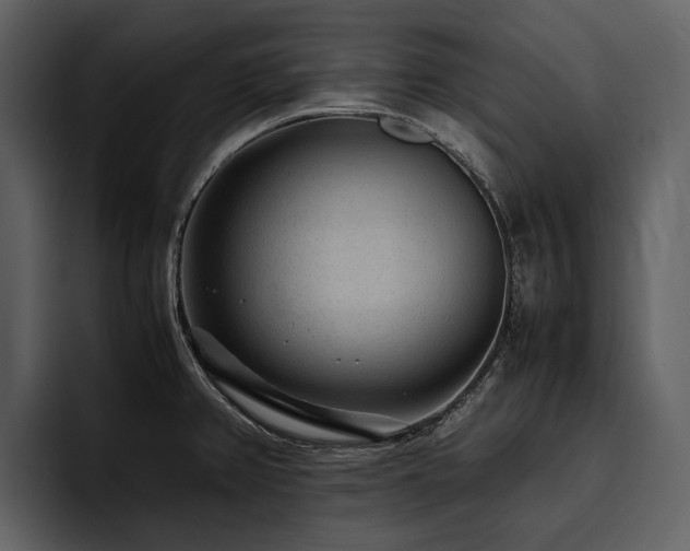 X0000095941382200801111321