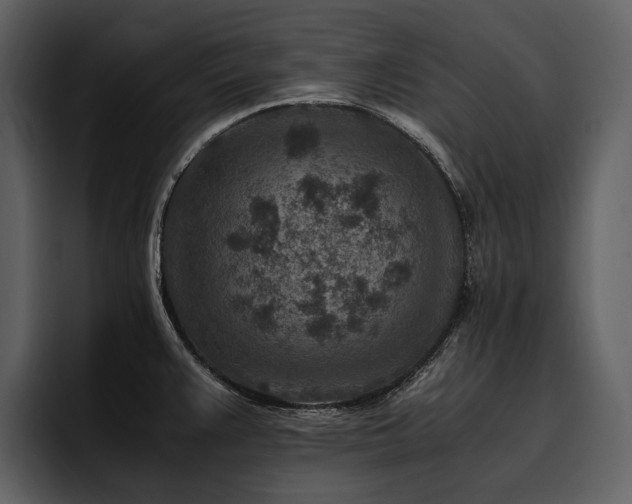 X0000095941383200801111321