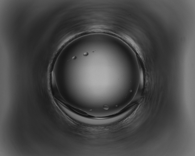 X0000095941384200801111321
