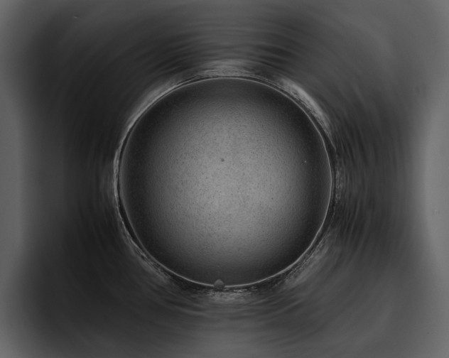 X0000095941386200801111321