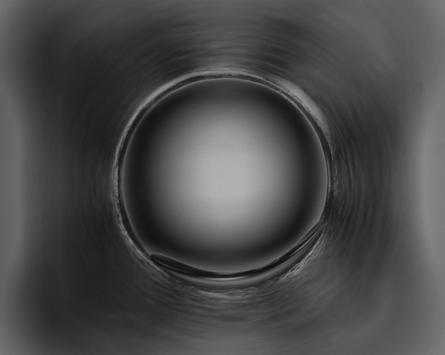 X0000095941388200801111321