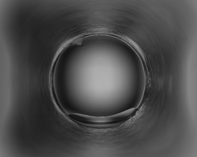 X0000095941389200801111321