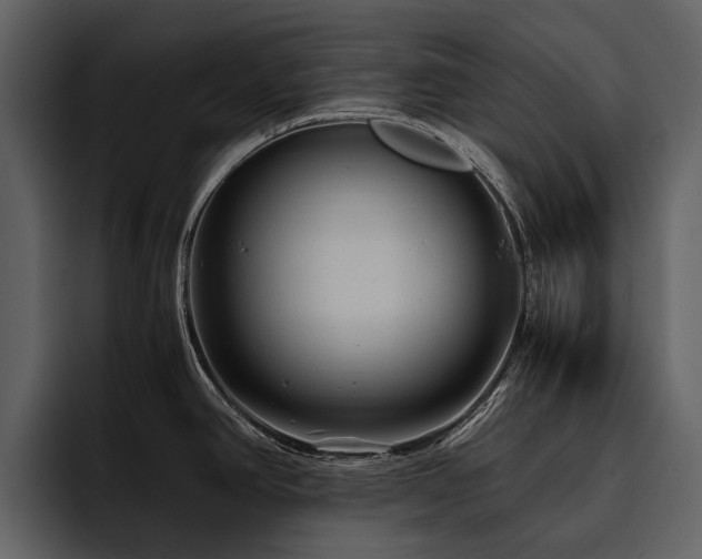 X0000095941390200801111321