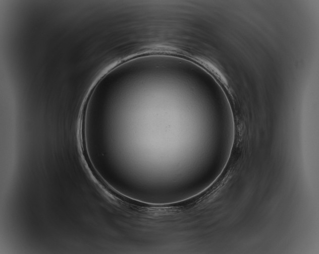 X0000095941391200801111321