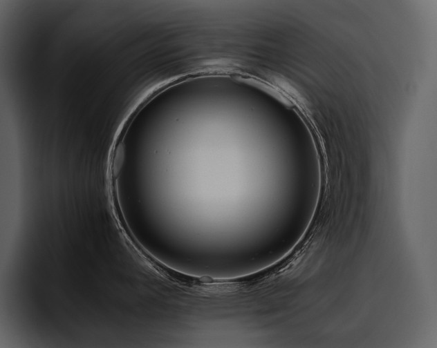 X0000095941392200801111321