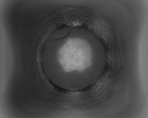 X0000095941393200801111320