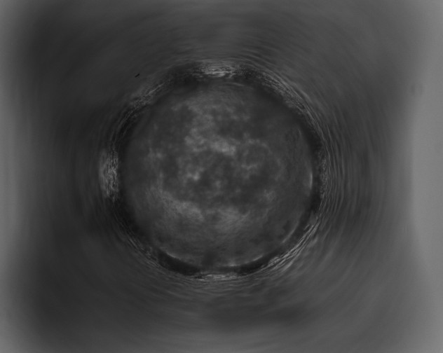X0000095941394200801111320