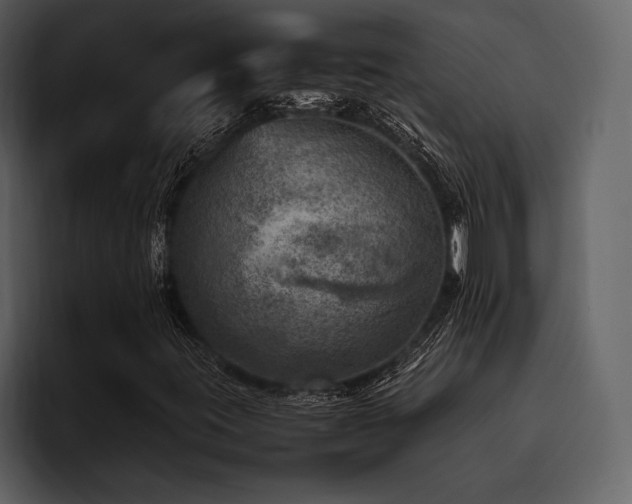 X0000095941395200801111320