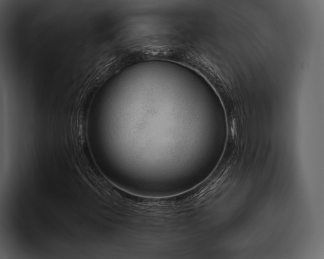 X0000095941396200801111320