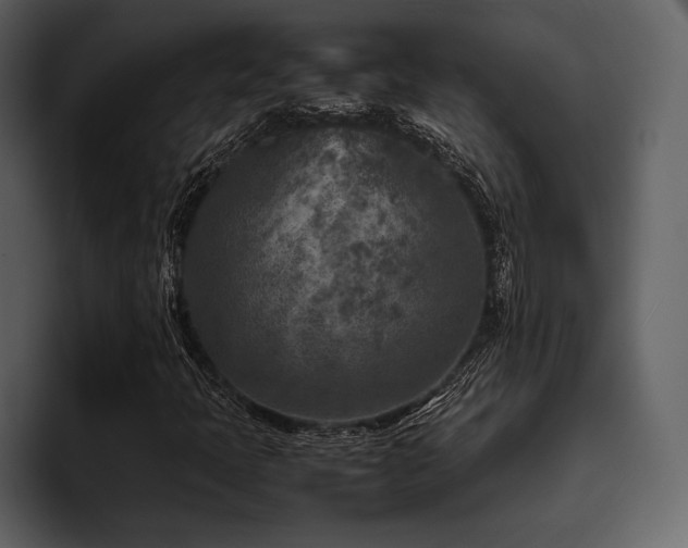 X0000095941397200801111320