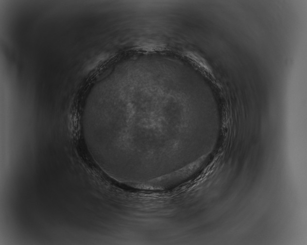 X0000095941398200801111320