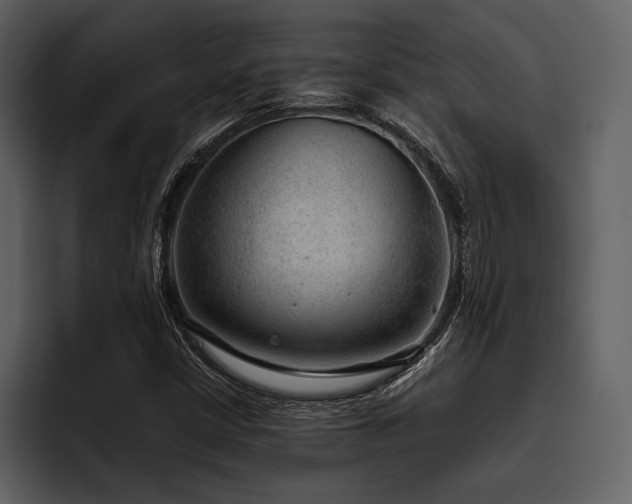 X0000095941402200801111320
