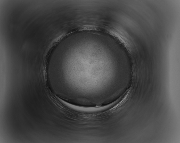 X0000095941403200801111320