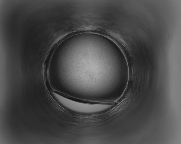 X0000095941404200801111320