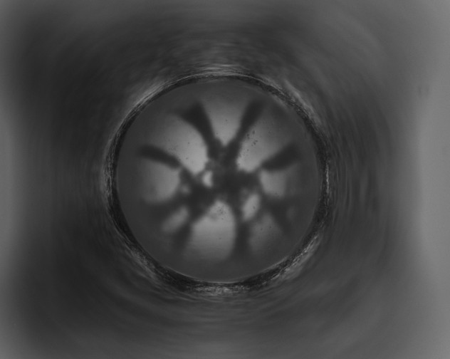 X0000095941405200801111320