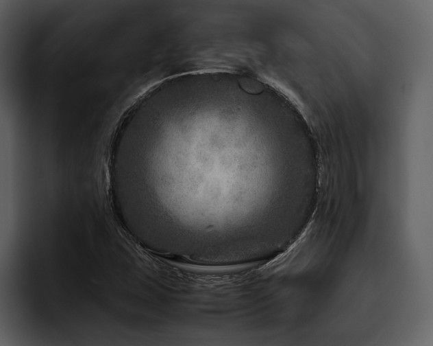 X0000095941407200801111320