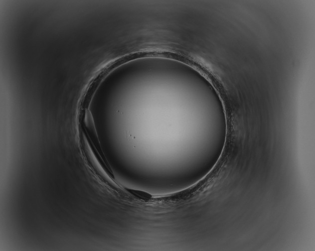 X0000095941408200801111320