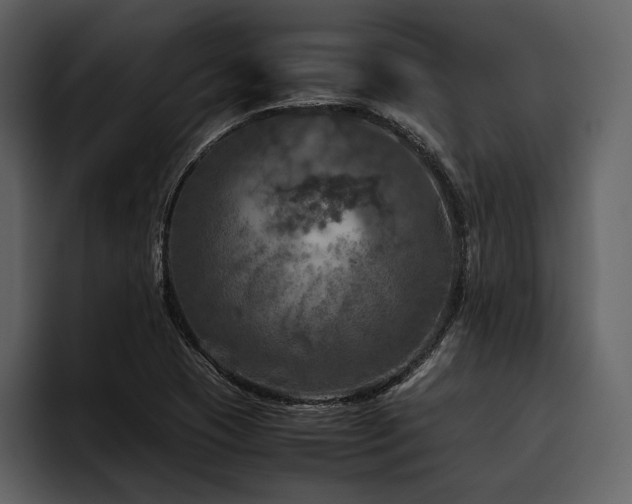 X0000095941409200801111320