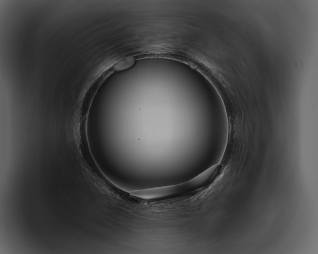 X0000095941410200801111320