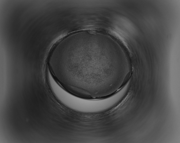 X0000095941411200801111320