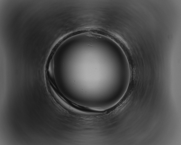 X0000095941412200801111320