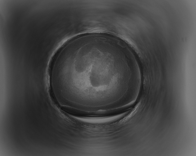 X0000095941414200801111320