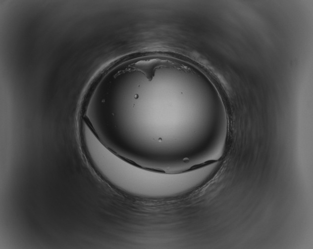 X0000095941416200801111320