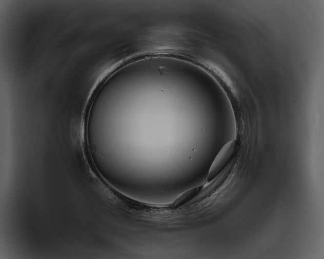 X0000095941420200801111321