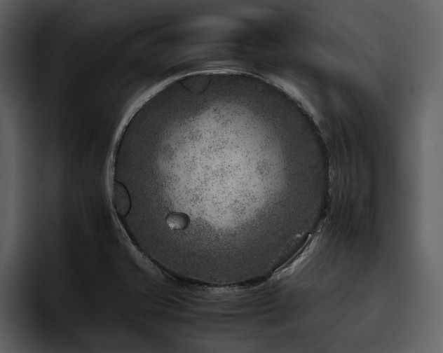 X0000095941421200801111321
