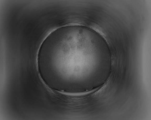 X0000095941423200801111321
