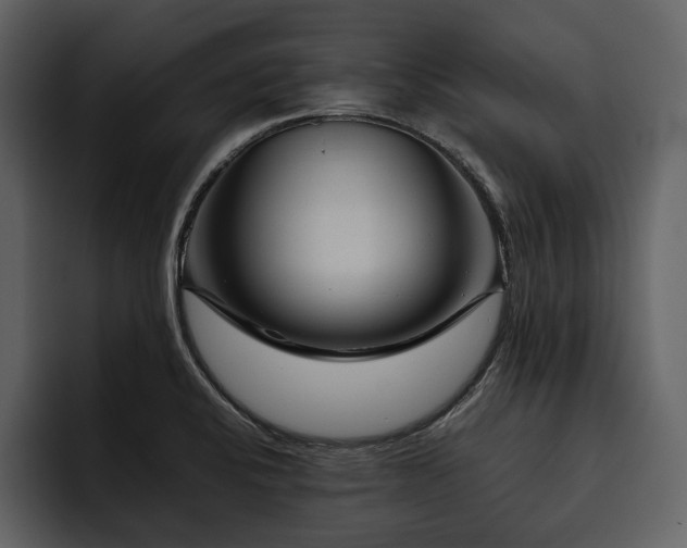 X0000095941424200801111321