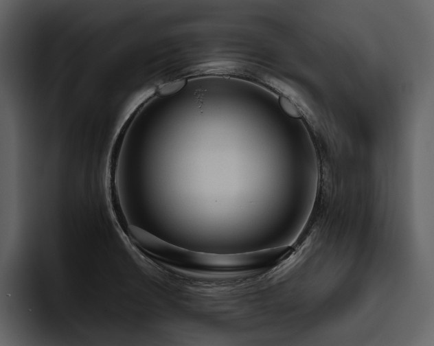 X0000095941426200801111321